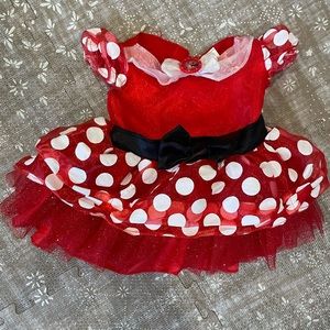 Minnie Mouse Costume 2T